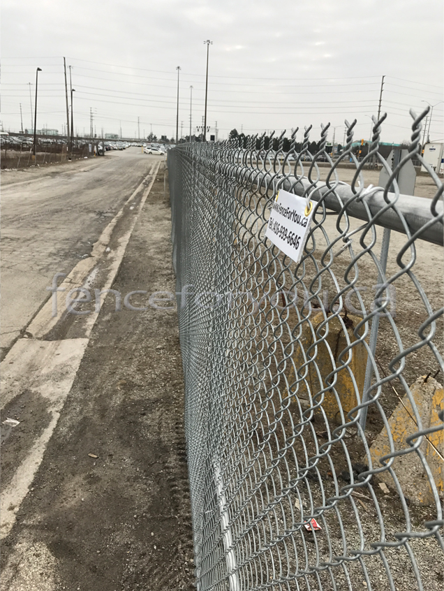 Chain Link fence picture