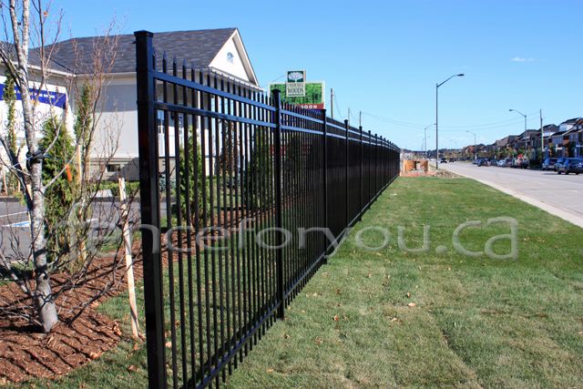 Fence Picture